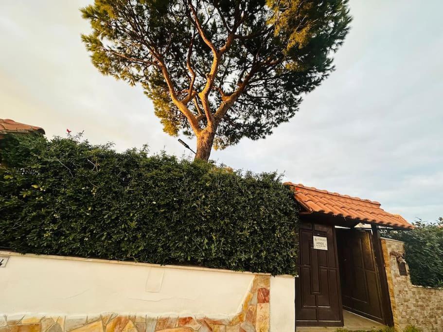 Fontana House Βίλα Marina di Cerveteri Εξωτερικό φωτογραφία